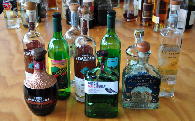 Tequila & Mezcal - The Seattle Spirits Society